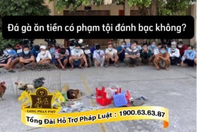 Đá gà ăn tiền có phạm tội đánh bạc
