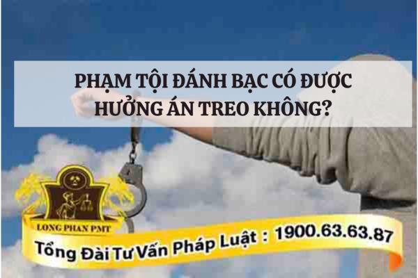 Người phạm tội đánh bạc được hưởng án treo