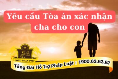 Yêu cầu tòa án xác nhận cha mẹ cho con thực hiện thế nào