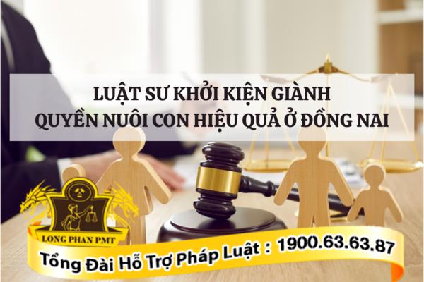 Luật sư khởi kiện giành quyền nuôi con ở Đồng Nai