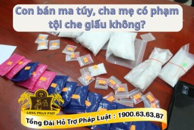 Cha mẹ che giấu con mua bán ma túy có phạm tội?