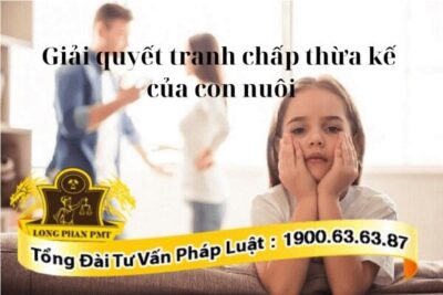 Con nuôi và quan hệ về thừa kế của con nuôi