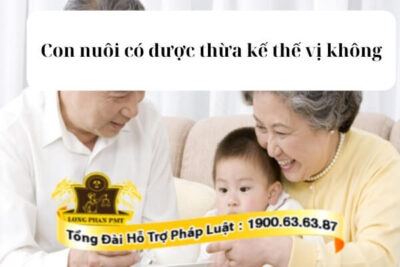 Quyền thừa kế thế vị của con nuôi