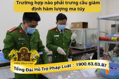 Trường hợp nào phải trưng cầu giám định hàm lượng ma túy