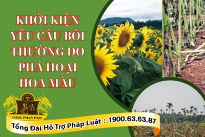 Khởi kiện yêu cầu bồi thường do phá hoại hoa màu