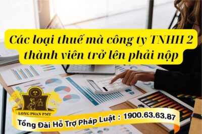 Nghĩa vụ nộp thuế của công ty TNHH 2 thành viên trở lên