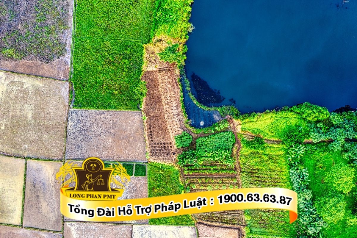 Thủ tục hòa giải tranh chấp đất đai tôn giáo tại UBND cấp xã cơ sở