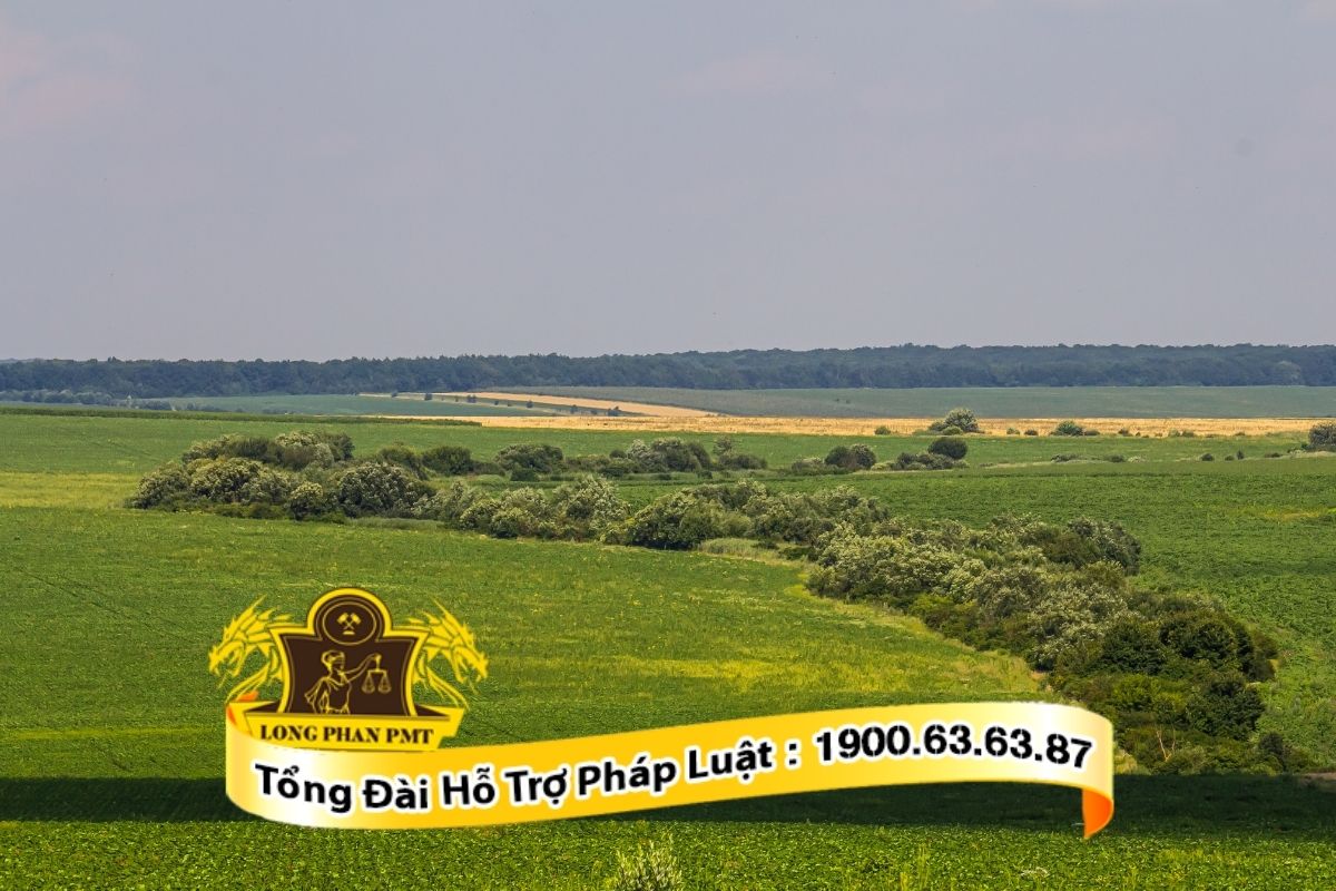 Thủ tục hòa giải tranh chấp đất đai tại Ủy ban nhân dân xã