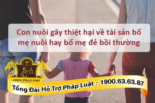 Bố mẹ có bồi thường khi con nuôi gây thiệt hại tài sản