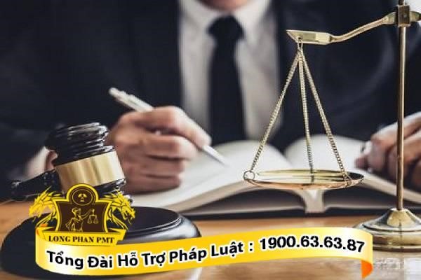 Luật sư tư vấn nhận con nuôi ở trại trẻ mồ côi