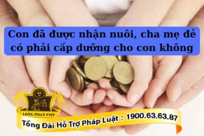 Nghĩa vụ cấp dưỡng của cha mẹ đẻ khi con đã được nhận nuôi