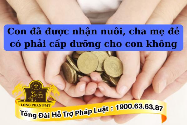 Nghĩa vụ cấp dưỡng của cha mẹ đẻ khi con đã được nhận nuôi