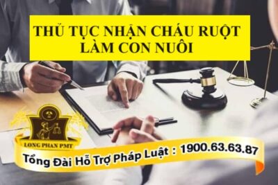 Nhận cháu ruột làm con nuôi cần tiến hành như thế nào