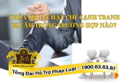 Trường hợp thỏa thuận hạn chế cạnh tranh bị cấm