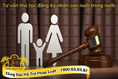 Tư vấn thủ tục đăng ký nhận con nuôi trong nước