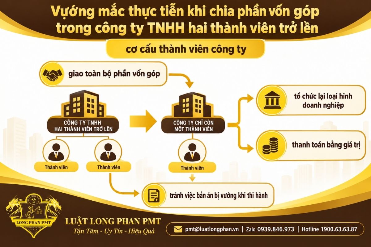 Vướng mắc khi chia phần vốn góp công ty TNHH liên quan cơ cấu thành viên và loại hình doanh nghiệp.