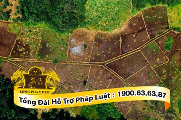 Ảnh hưởng nghiêm trọng khi thay đổi hiện trạng đất đang tranh chấp