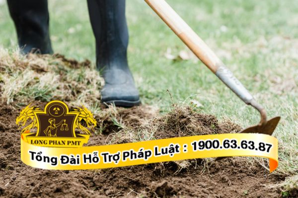 Bồi thường tài sản trên đất