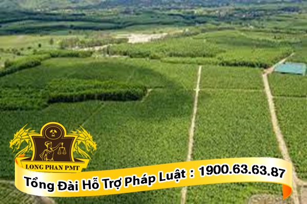Hạn mức giao đất nông nghiệp cho cá nhân sẽ thay đổi như thế nào