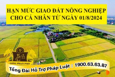 Hạn mức giao đất nông nghiệp cho cá nhân từ 01.8.2024