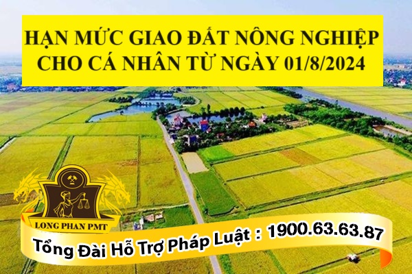 Hạn mức giao đất nông nghiệp cho cá nhân từ ngày 01/8/2024