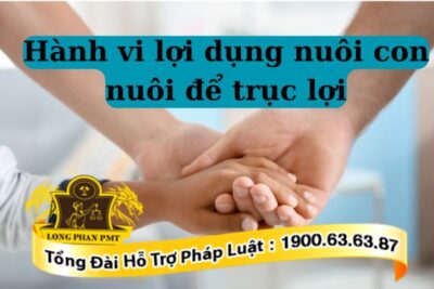 Lợi dụng nuôi con nuôi để trục lợi sẽ bị xử phạt