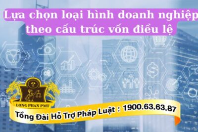 Lựa chọn loại hình doanh nghiệp theo cấu trúc vốn điều lệ phổ biến