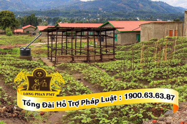 Thủ tục thế chấp nhà ở tái định cư