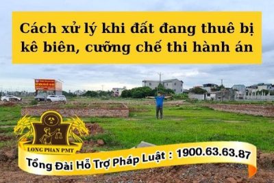 Cách xử lý khi đất đang thuê bị kê biên, cưỡng chế thi hành án hiện nay