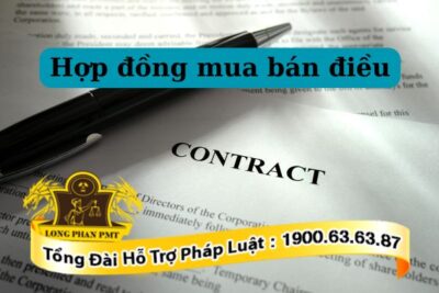 Điều khoản cơ bản trong hợp đồng mua bán điều là gì