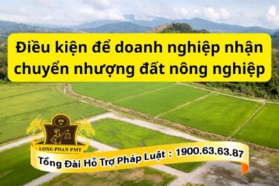 Điều kiện nào để doanh nghiệp được nhận chuyển nhượng đất nông nghiệp?