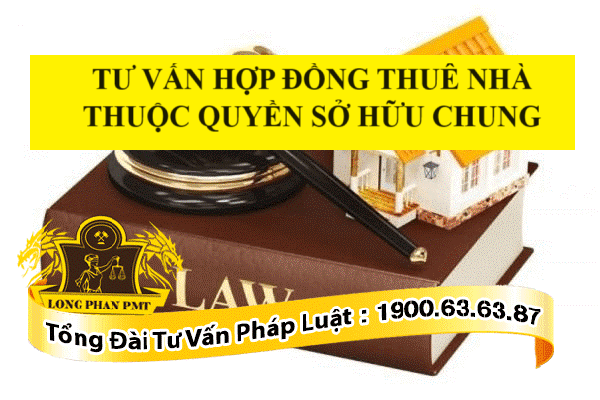 Hợp đồng thuê nhà thuộc quyền sở hữu chung
