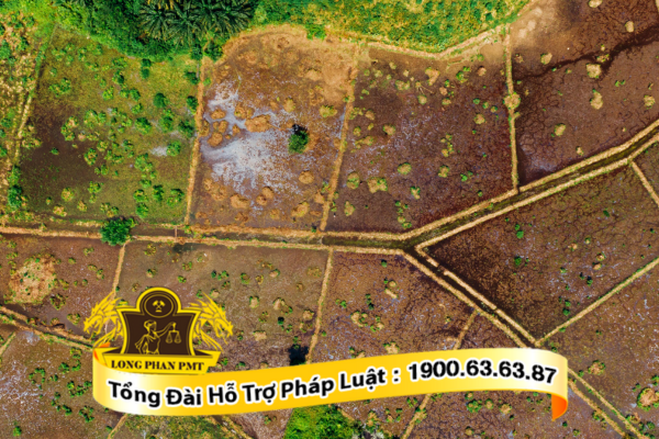 Mức bồi thường đất khai hoang khi bị thu hồi