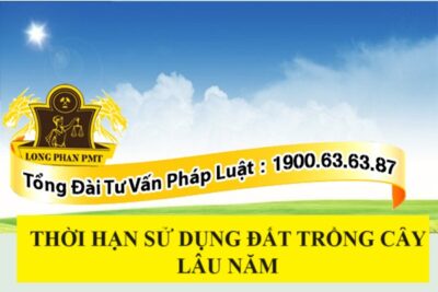 Thời hạn sử dụng đất trồng cây lâu năm là bao nhiêu