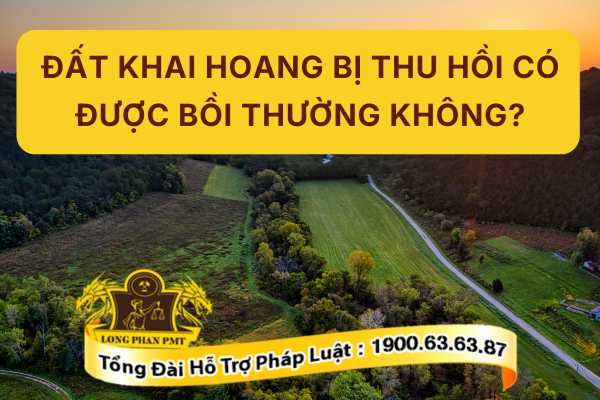 Tìm hiểu quy định Đất khai hoang bị thu hồi có được bồi thường không?
