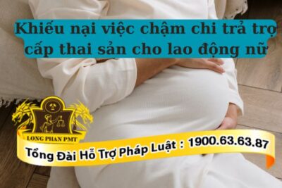 Công ty không được chậm chi trả trợ cấp thai sản cho lao động nữ