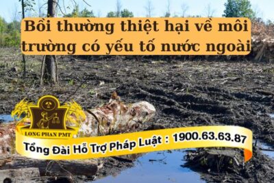 Giải quyết các tranh chấp về môi trường có yếu tố nước ngoài