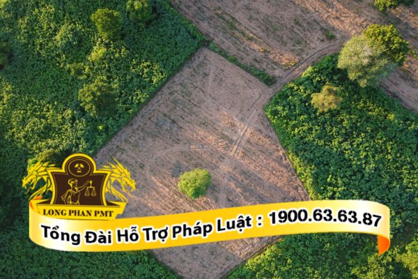 Giải quyết tranh chấp đất đai không có sổ