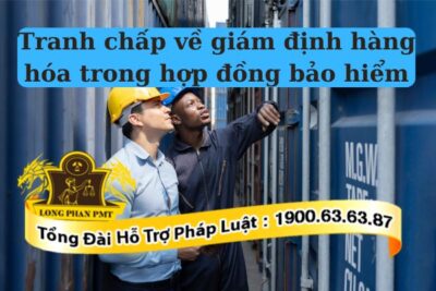 Giám định hàng hóa trong hợp đồng bảo hiểm đóng vai trò quan trọng