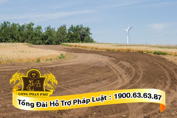 Hình thức công nhận đối với đất khai hoang mà có