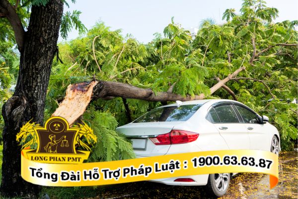 Phạm vi loại trừ cách nhiệm bảo hiểm thân vỏ xe