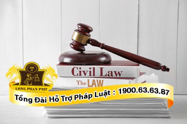 Quyền yêu cầu xem xét kết quả thi hành án dân sự