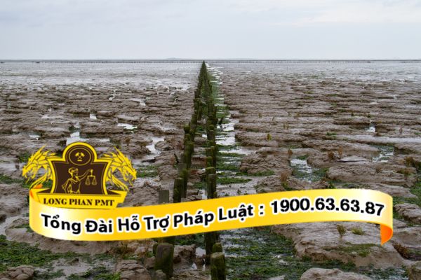 Tình trạng pháp lý đất đai tranh chấp