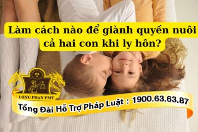 Tư vấn phương án giành quyền nuôi cả hai con khi ly hôn