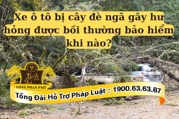 Xe ô tô bị cây đè ngã gây hư hỏng được bồi thường bảo hiểm hay không