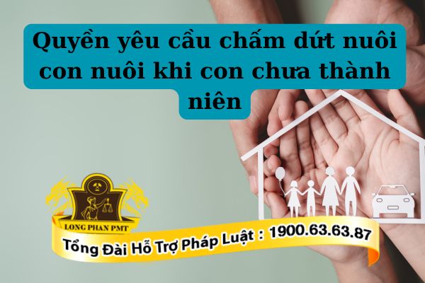 Quy định về quyền chấm dứt việc nuôi con nuôi