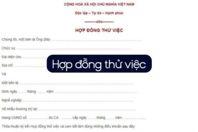 Mẫu hợp đông thử việc mới nhất
