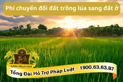 Phí chuyển đổi đất trồng lúa sang đất ở