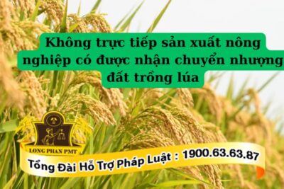 Năm 2024, không trực tiếp sản xuất nông nghiệp có được nhận chuyển nhượng đất trồng lúa