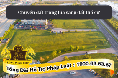 Thủ tục chuyển đất trồng lúa sang đất thổ cư